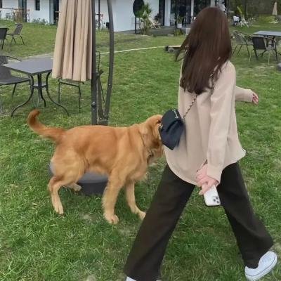 亲爱的没想到吧